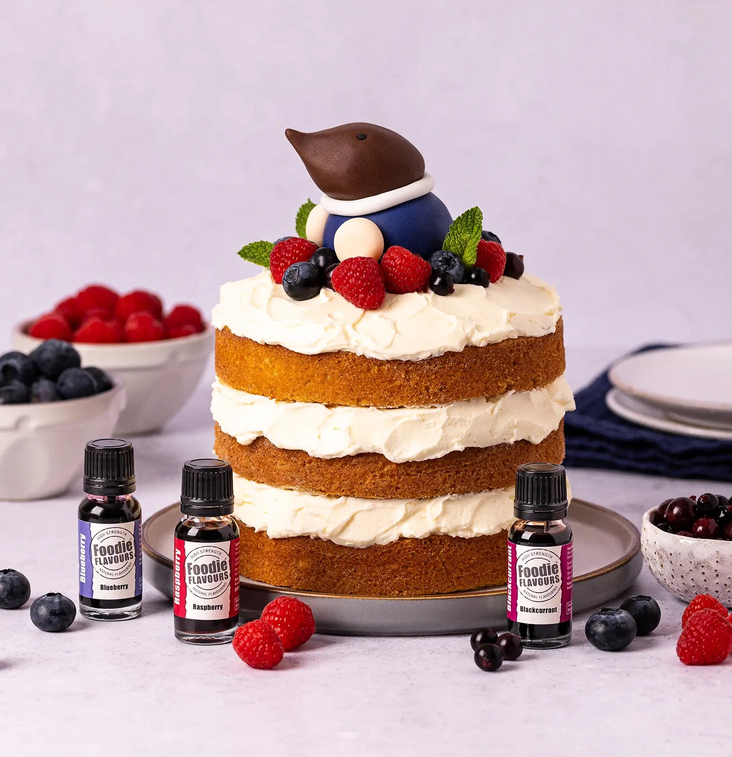 Mole’s Favourite Berry Cake