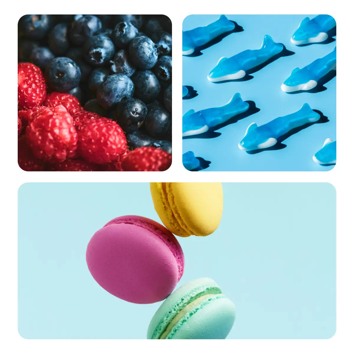 A collage of three colourful product photos: blueberries and raspberries in a top-left square, blue shark-shaped sweets on a light blue background in the top-right square, and pink, yellow, and mint macarons floating against a pale blue background in the large bottom panel.