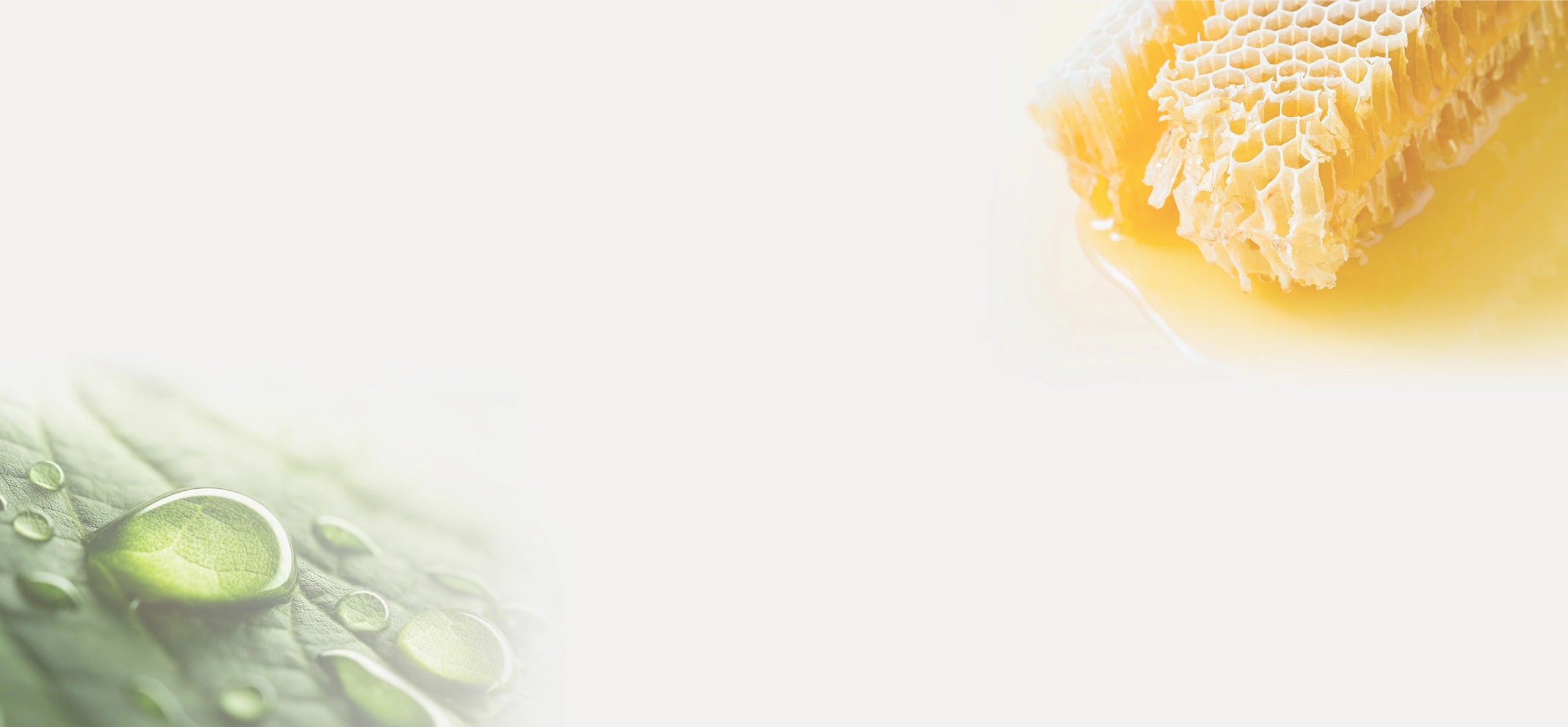 Honey with honeycomb, green leaf with water droplets.