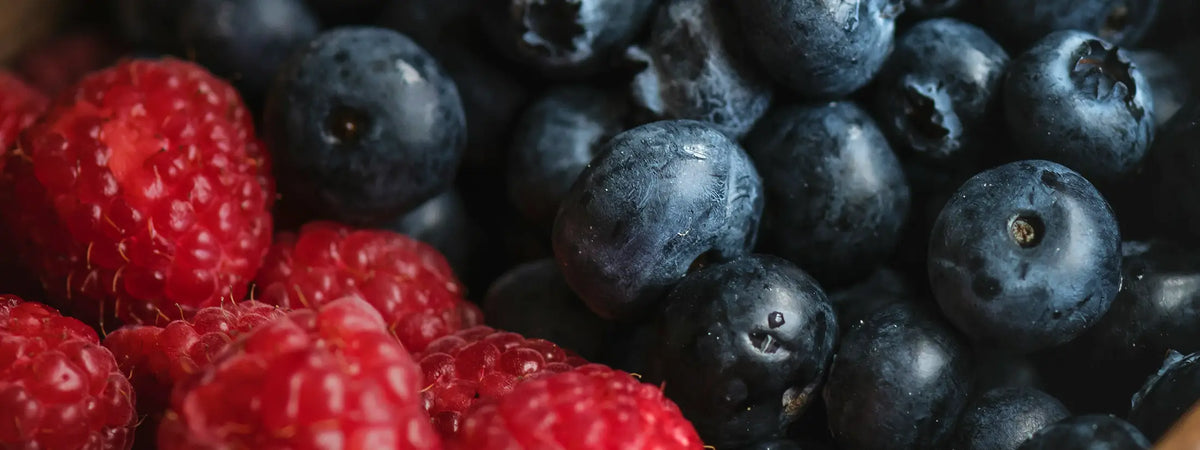 Close-up of fresh berries, with red raspberries in the foreground and dark blue blueberries filling the background.